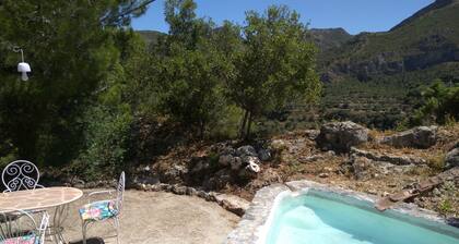 TREASURE.(VTAR / GR / 01373)