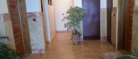 A hallway with a potted plant, wooden doors, and a marble floor.
