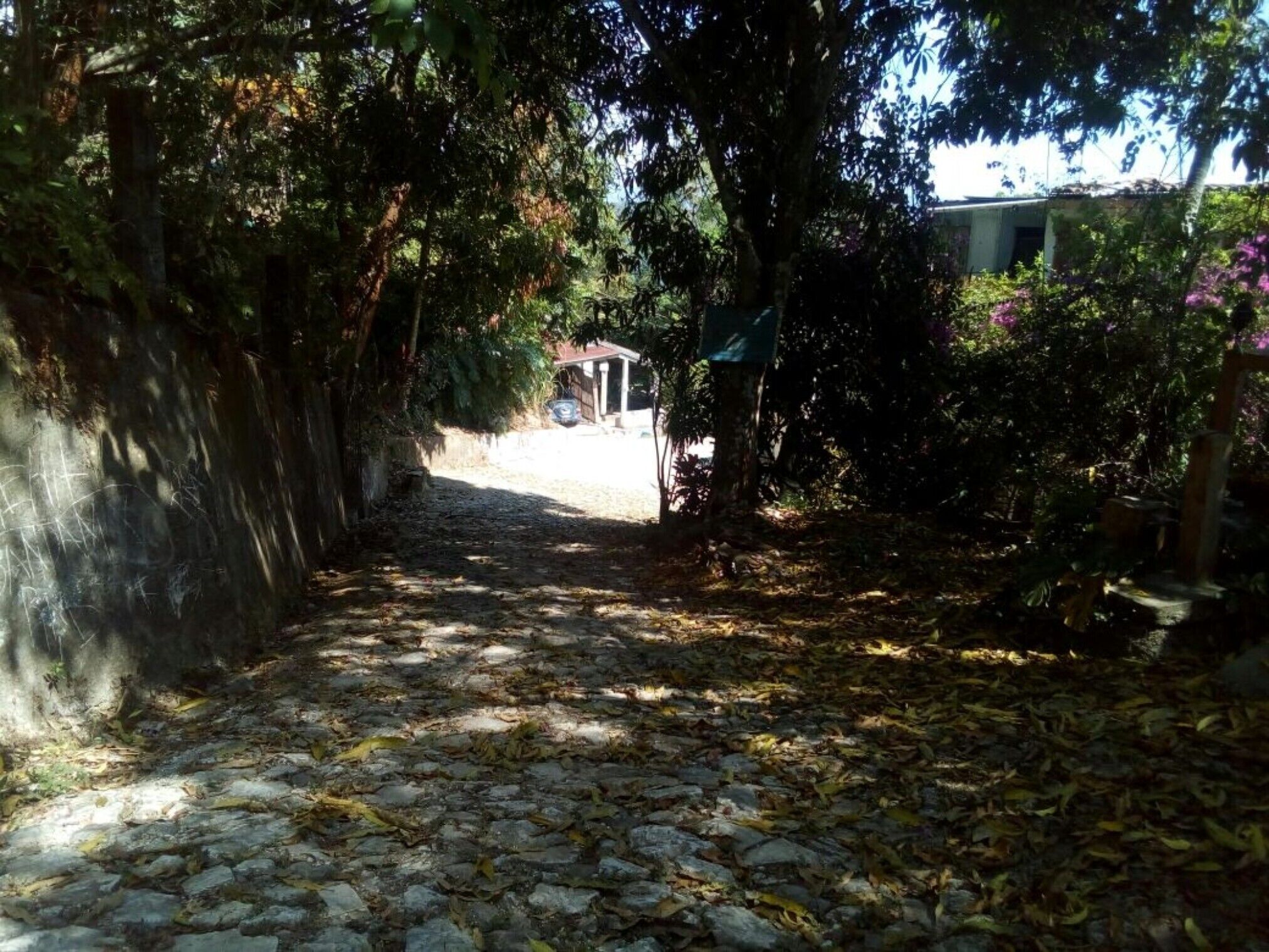 Km 18. 5 road Sta Maria Huatulco to Pluma Hgo - ROOM 7