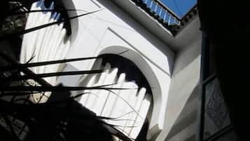 Detalle exterior