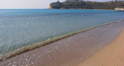 "The shape of the water"