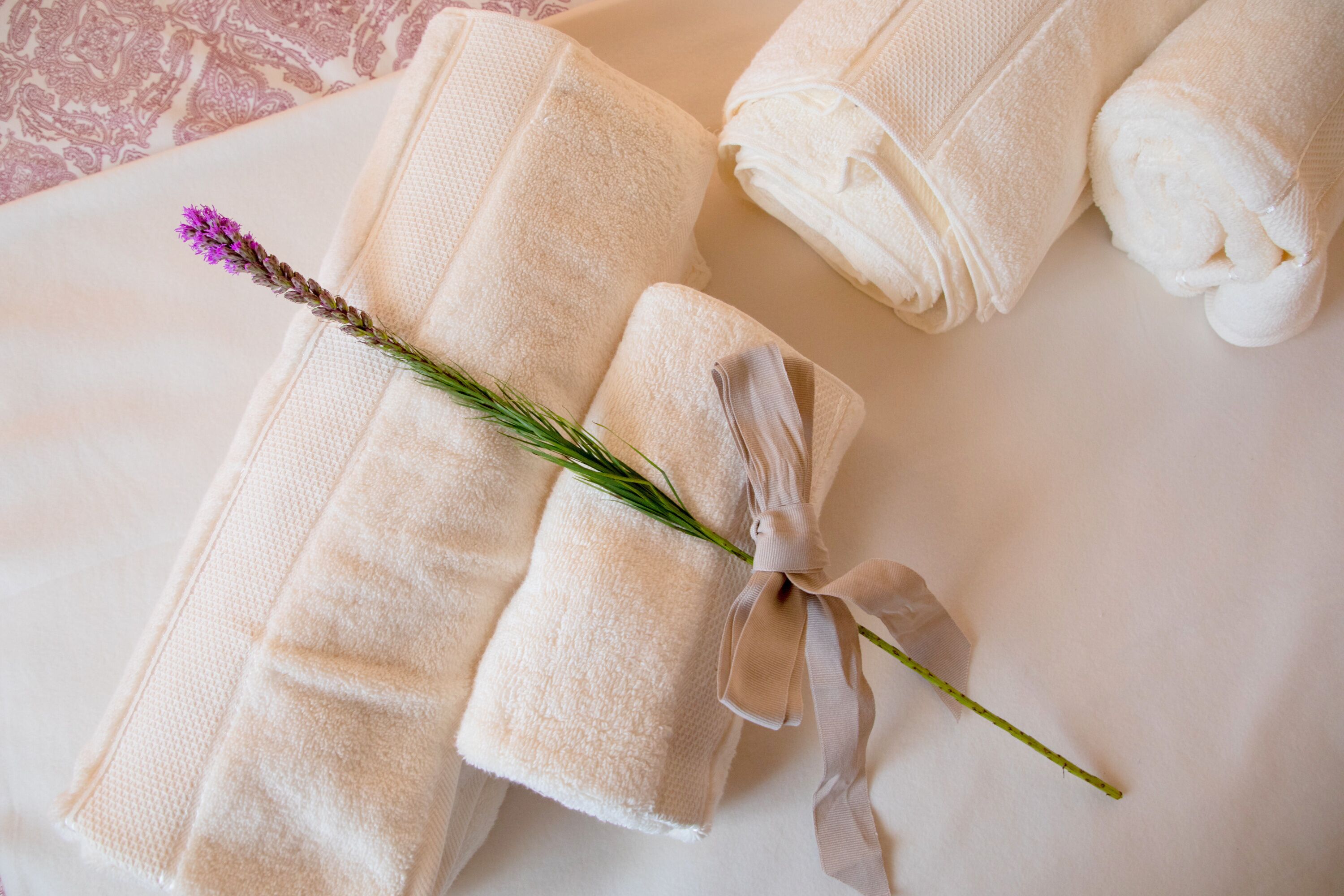 Aleixo's Guest House: entire house with garden in the heart of Alentejo