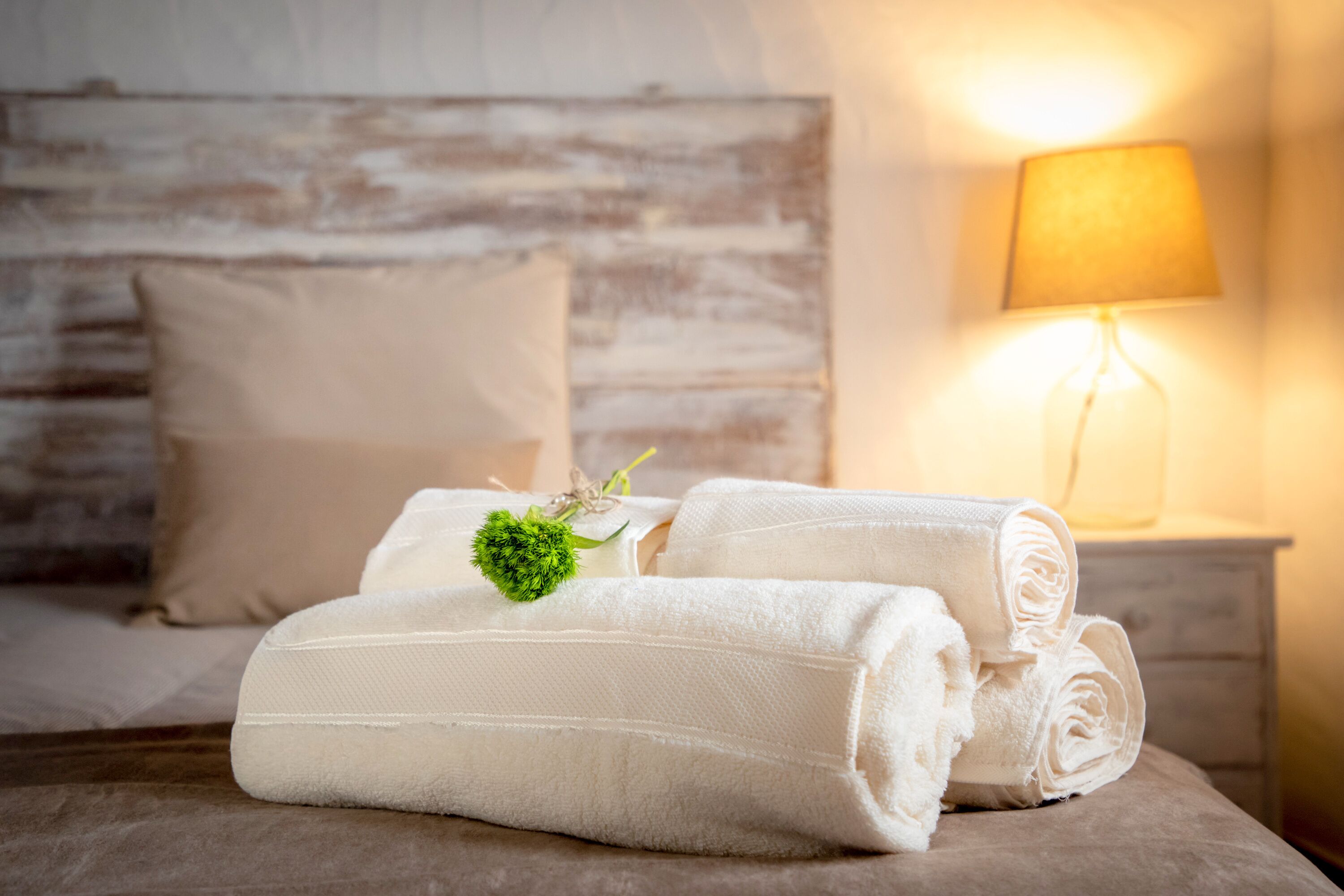 Aleixo's Guest House: entire house with garden in the heart of Alentejo