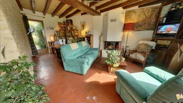 Télévision, cheminée, lecteur de DVD, table de tennis de table