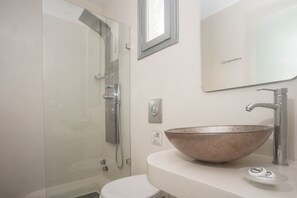 Combined shower/bathtub, hair dryer, towels, shampoo