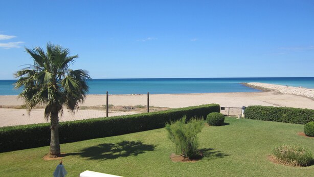 Ein grüner Rasen mit einer Bank, einer Palme und Blick auf Strand und Meer.