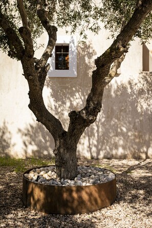 Áreas de la propiedad