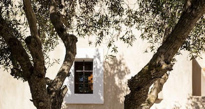 CAN NOVES-Villa mit Terrasse und Grill in zentraler und ruhiger Lage