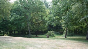 A grassy field with trees and a small bush. - Walnut Lodge, 1 bedroom traditional Gite in rural location  (Pleumartin)
