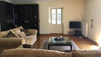 TV, DVD player, books, video library