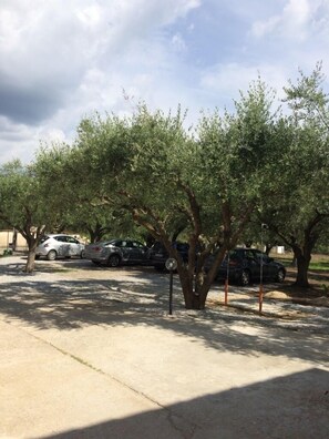 Property grounds - Sangeni home holidays - Apartment n.5 at the first floor with large terrace (Capo Vaticano)