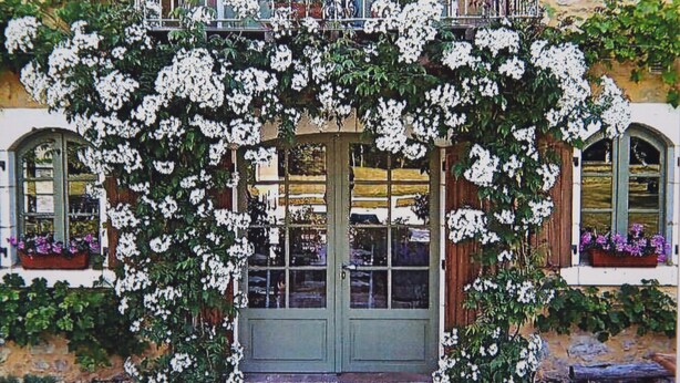 Un bâtiment avec une porte et des fenêtres vertes, entouré de plantes à fleurs blanches.