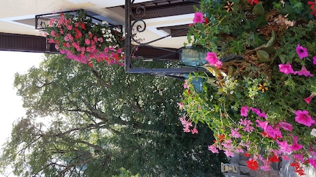 Exterior detail. Near the Loire, shops and downtown Pouilly-sur-Loire! ...