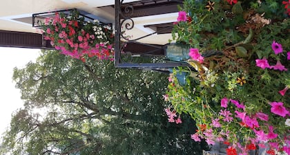 Cerca del Loira, las tiendas y el centro de Pouilly-sur-Loire ...