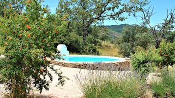 Udendørs pool