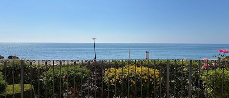 A balcony with a view of the sea, a metal fence, and some greenery.