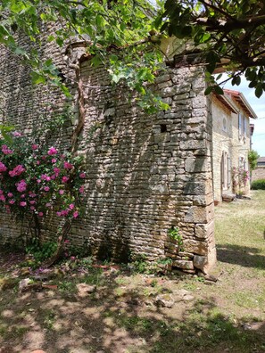 المنطقة المحيطة بالمن شأة