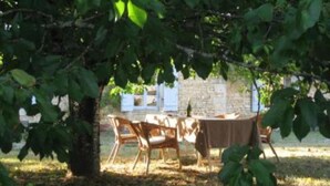 Un espace extérieur aménagé avec une table et des chaises, placé sous un arbre et entouré d’un mur de pierre et de verdure.