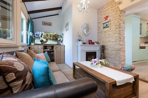 Smart TV, chimenea, reproductor de DVD y libros