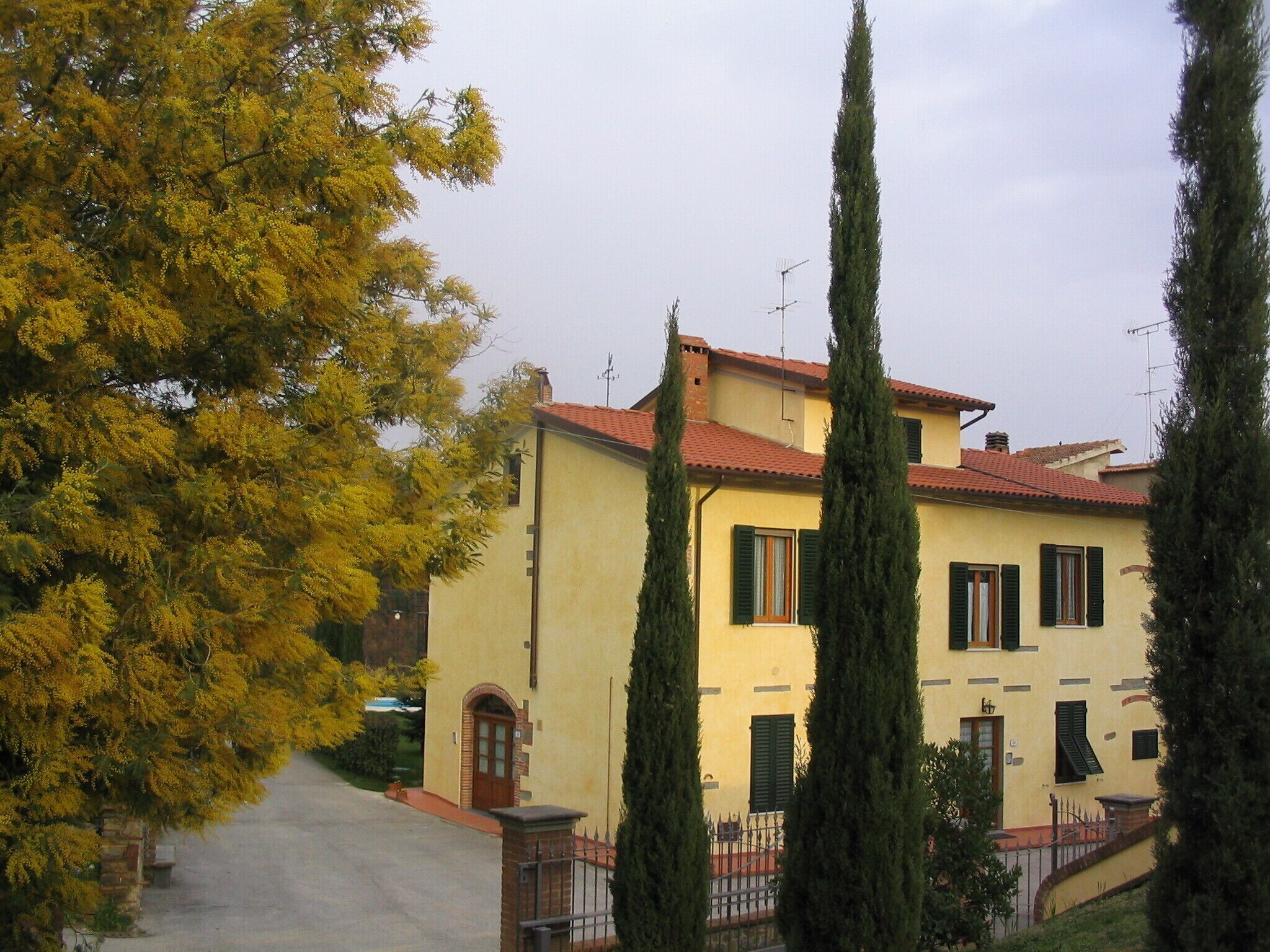 Studio in Farmhouse in Vinci