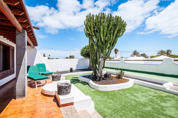Terraza en la azotea con un cactus, sillas reclinables verdes y una pared blanca.