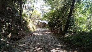 A cobblestone path through a forested area with trees on both sides. - Eco Hotel El Refugio, In the mountains but near the sea. - ROOM 9 (PLUMA HIDALGO)
