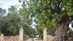 Una entrada cerrada con muros de piedra y un gran árbol.