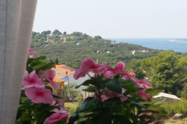 Vue depuis l’hébergement