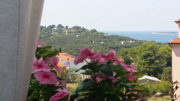 Näkymä majoituspaikasta