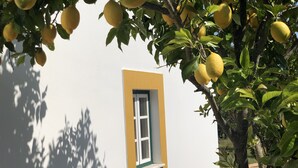 Ein Gebäude mit einem Fenster und einem Zitronenbaum.