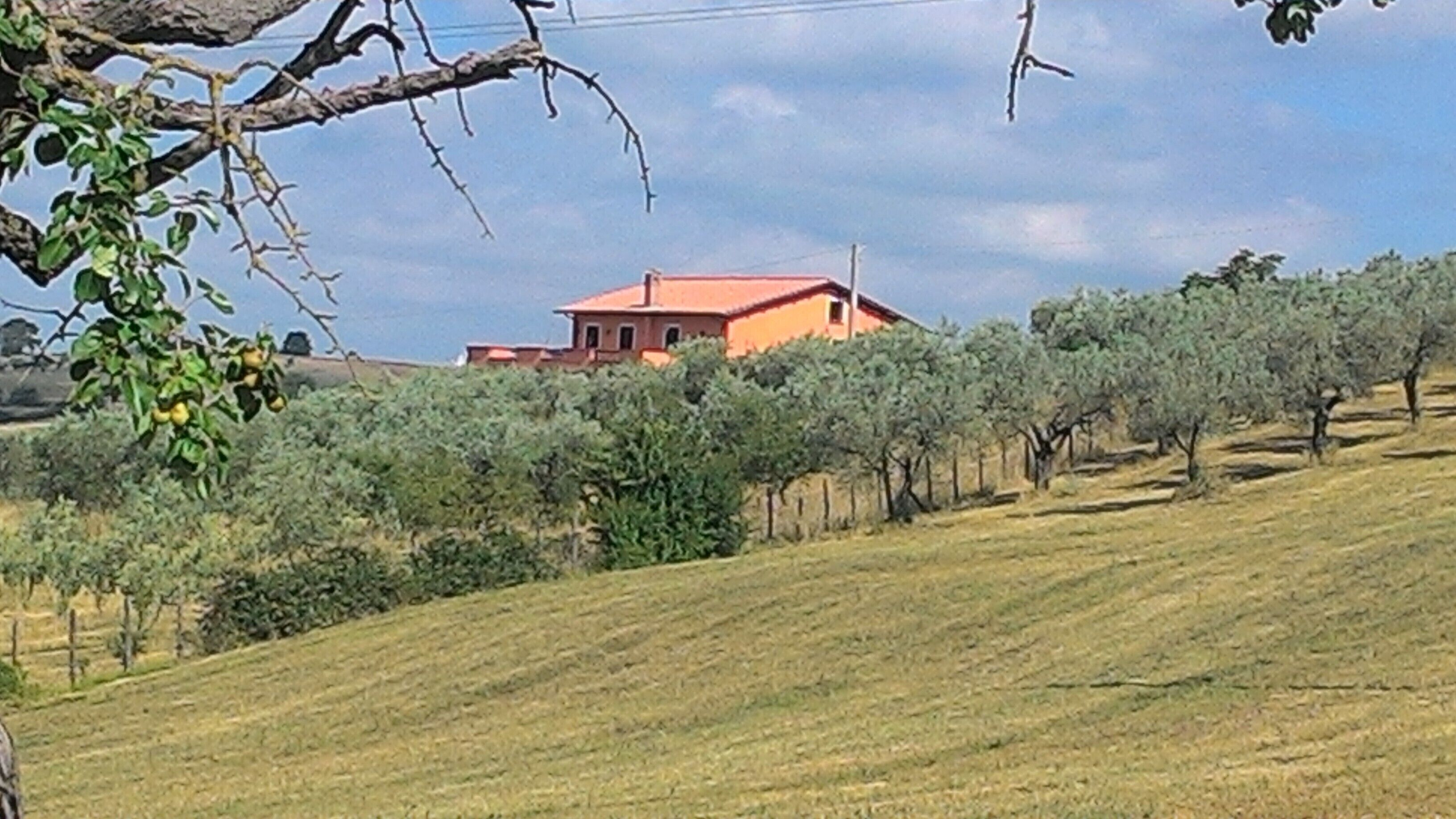 Nature and music in the Sabine countryside