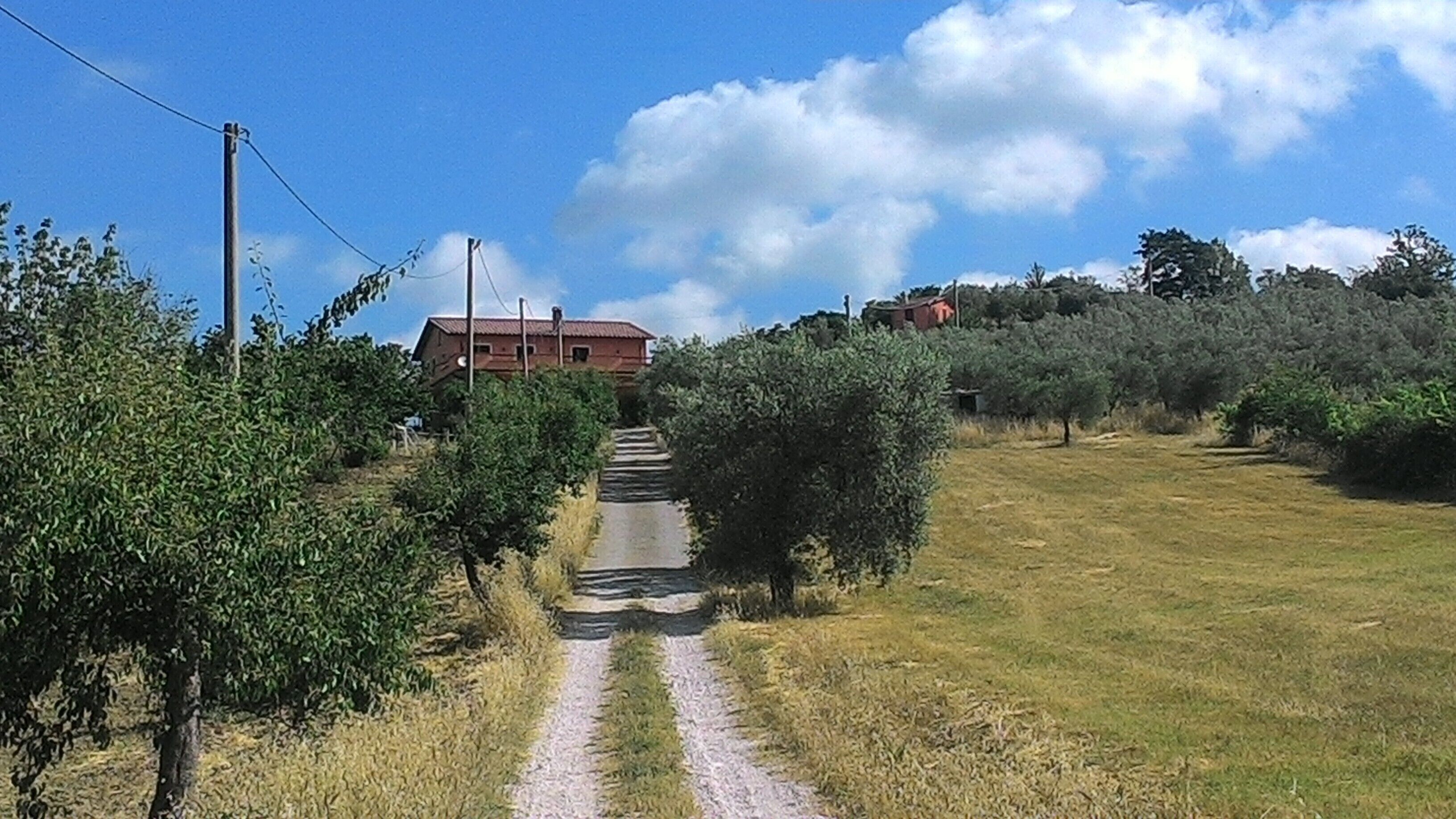 Nature and music in the Sabine countryside