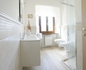Shower, hair dryer, bidet, towels