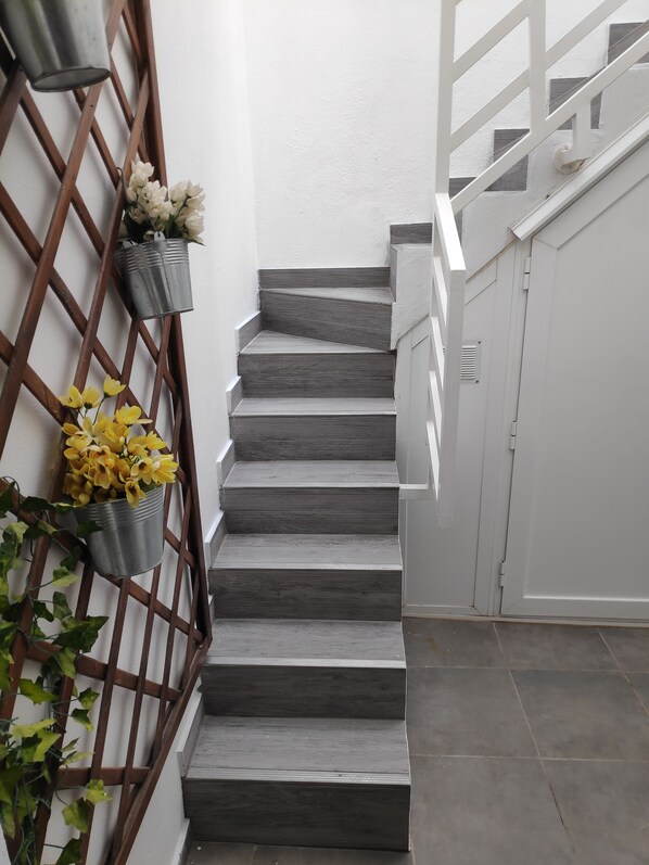 A staircase with a metal railing, white walls, and potted plants.