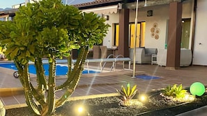 A rooftop terrace with a pool, seating area, and a well-maintained garden with cacti and small plants.