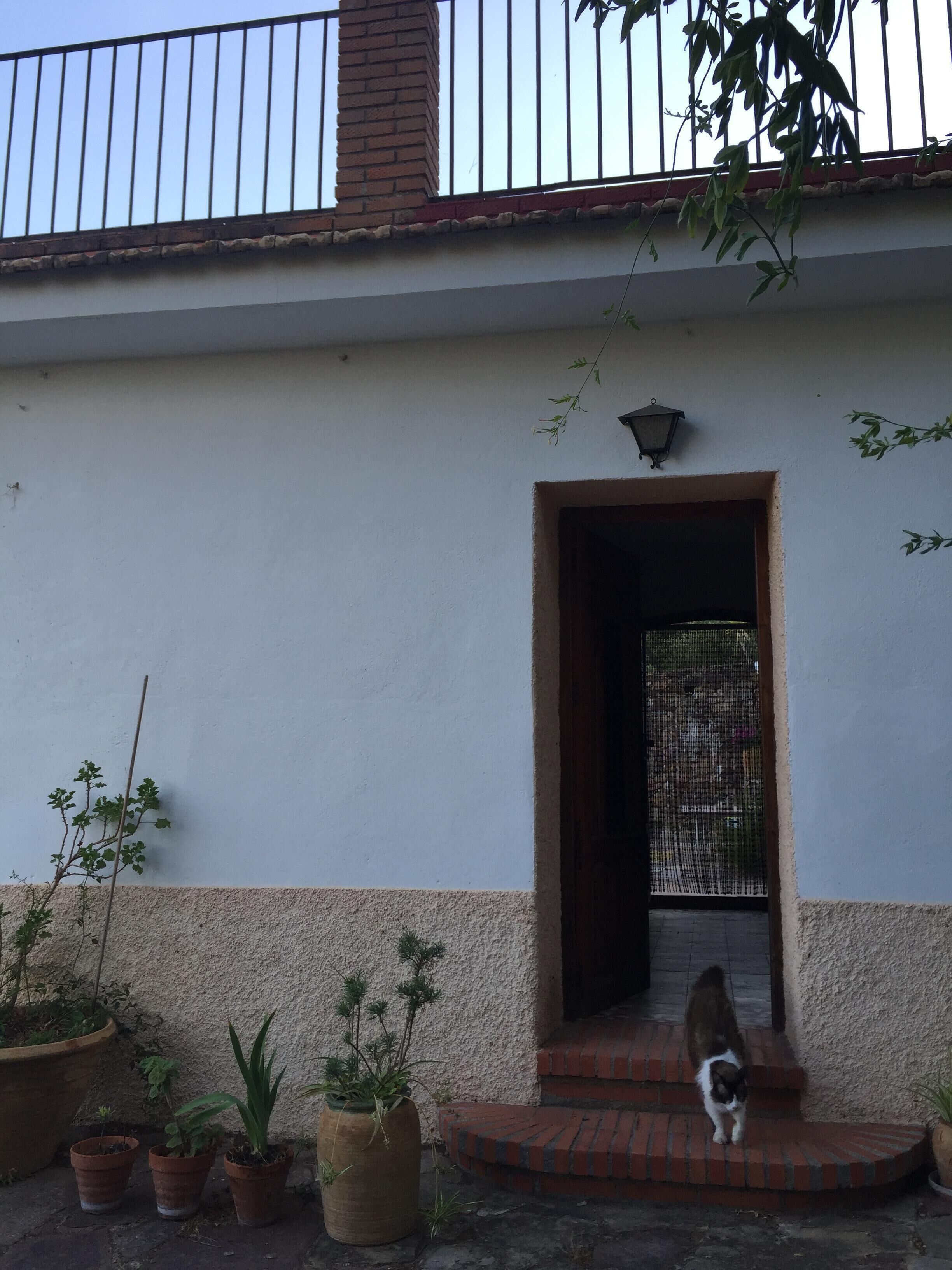 Un edificio con fachada blanca, una chimenea de ladrillo y una reja en la entrada. Hay macetas con plantas afuera y un gato en los escalones.