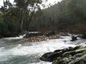 Imagen sin descripción, 4 de 23, botón