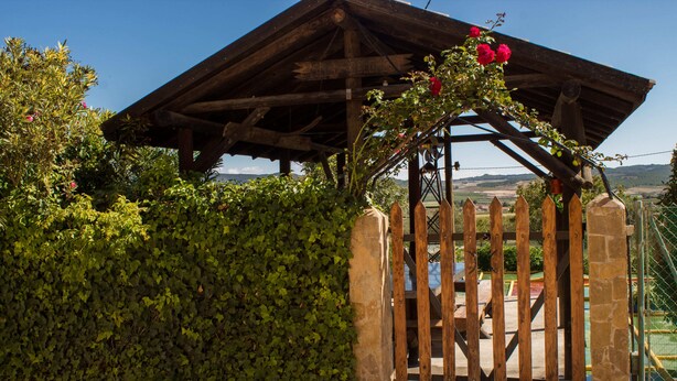 Una pérgola de madera con un portón, rodeada de abundante follaje y un cielo azul despejado.