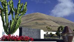 A cactus, red flowers, and a mountain in the background.