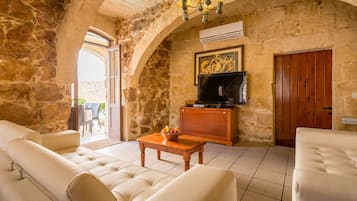 Smart TV, fireplace, books