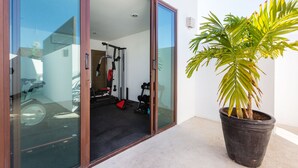 A modern home with a glass door leading to a gym area, a potted plant, and a concrete floor.