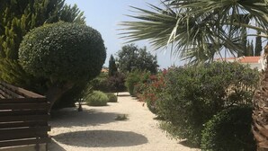 A gravel pathway flanked by neatly trimmed hedges and a palm tree. - Spacious,quiet villa in a secluded tranquil location with all amenities nearby (Peyia)