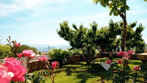 Ein Garten mit rosa Rosen und einer Steinmauer.