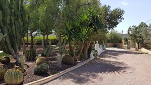 A garden with various cacti and palm trees, a gravel path, and a white wall with a gate. - Excelent house in front of Golf filds / privat pool (Alicante)