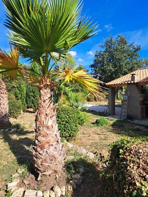 Un jardin avec des palmiers, un mur de pierre et un petit bâtiment doté d’un toit en tuiles.