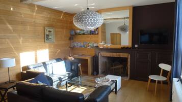 Télévision, cheminée, lecteur de DVD, livres