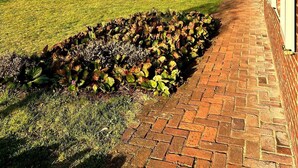 A brick pathway leading to a building with a clear view of a grassy field and trees in the background. - Unique vacation home with a hot tub in nature (Meeuwen-Gruitrode)