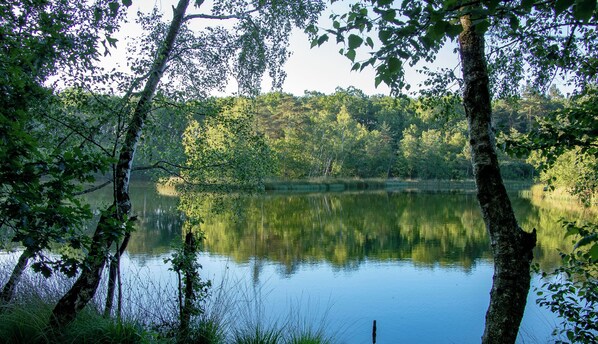 A serene lake surrounded by trees. - Unique vacation home with a hot tub in nature (Meeuwen-Gruitrode)