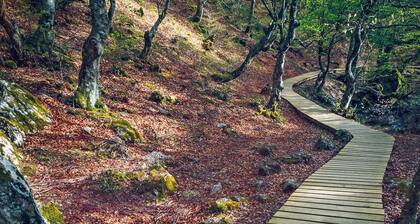 Cottage in the mountain of Leon (9 people) with jacuzzi, barbecue and fireplace
