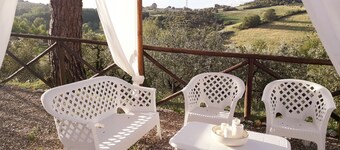 Exclusive villa with park and private swimming pool in Siena